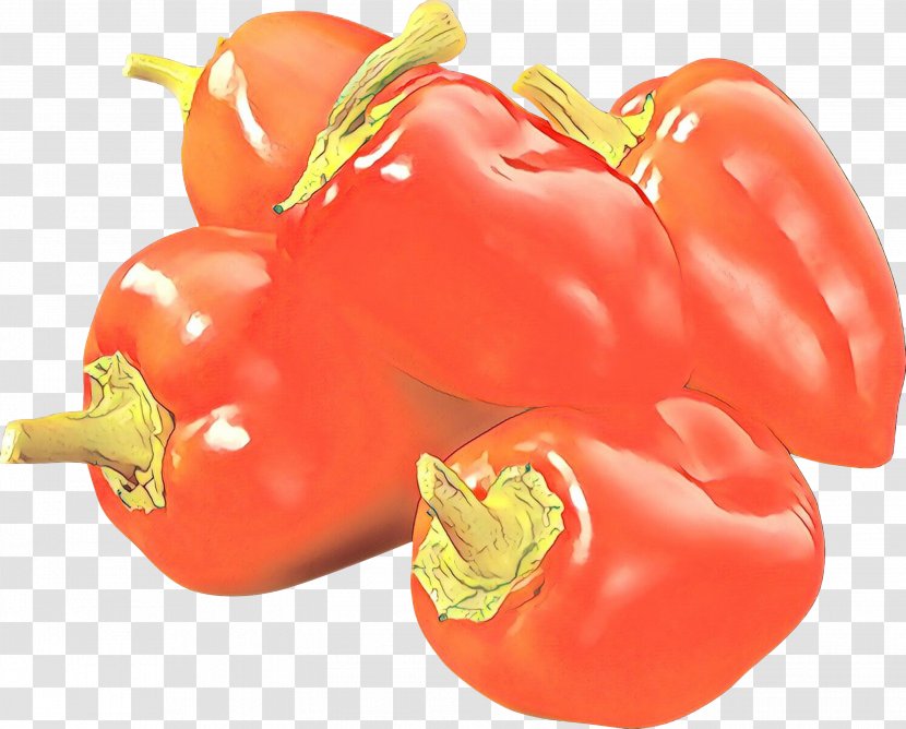 Vegetable Cartoon - Chili Pepper - Vegan Nutrition Nightshade Family Transparent PNG