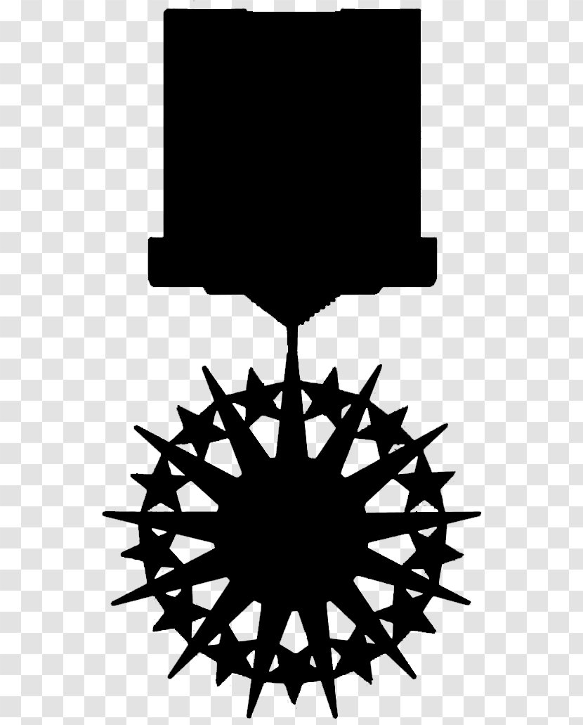 Distinguished Service Medal United States Of America Cross Hotel Room - Defense - Air Force Transparent PNG