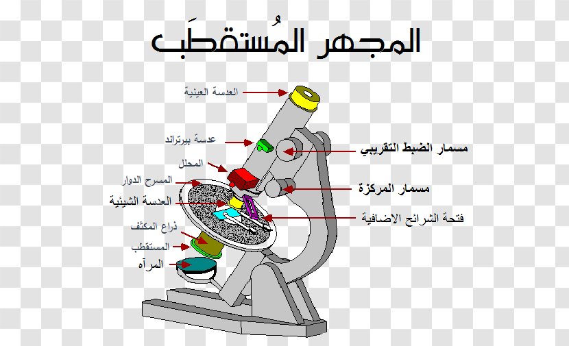 Optical Microscope Light Optics Scanning Electron - Silhouette Transparent PNG