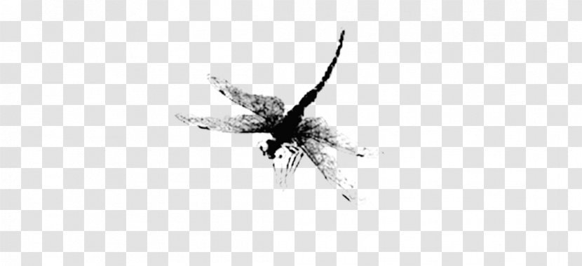 White Graphic Design Black Pattern - Monochrome - Dragonfly Ink Transparent PNG