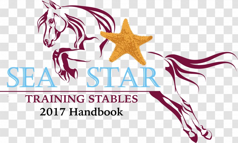 Horse Graphic Design Handbook Starfish - School - Sea Star Transparent PNG