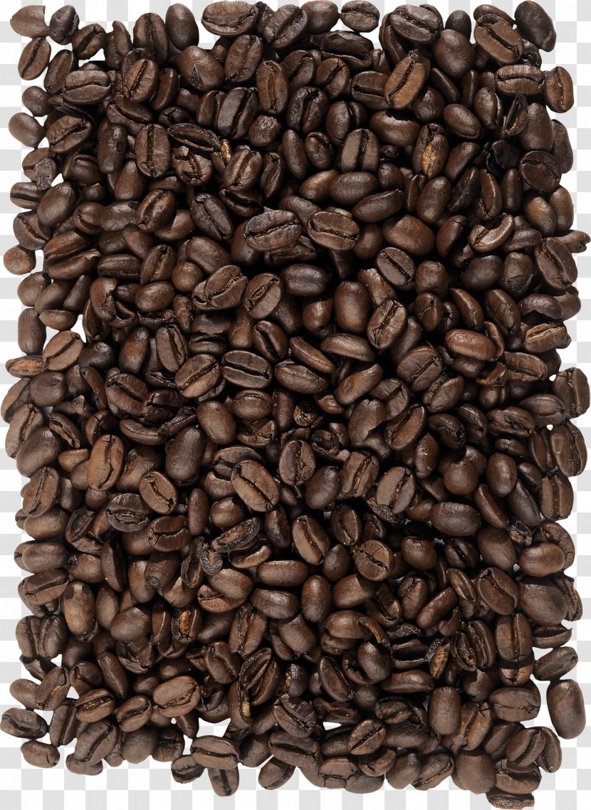 Coffee Bean Cappuccino Cafe - Quality Beans Transparent PNG