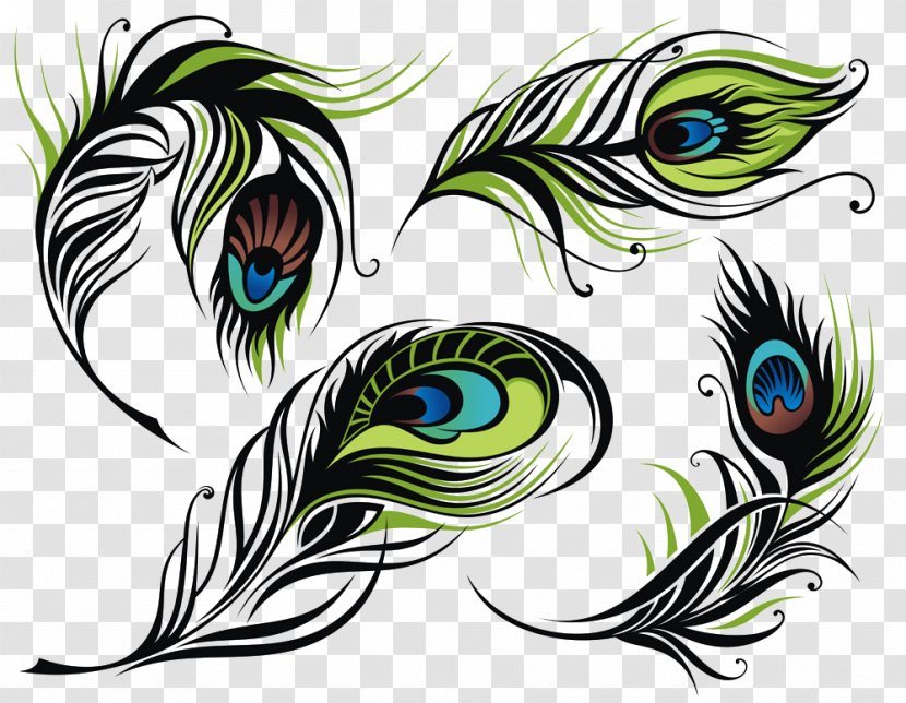 Bird Feather Peafowl Illustration Transparent PNG