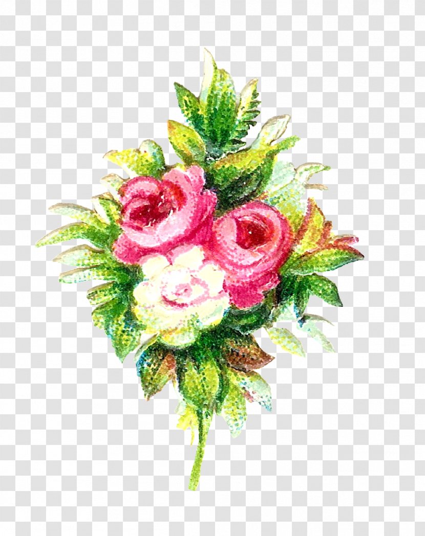 Flower Bouquet Garden Roses Cut Flowers - Rosa Centifolia - Rustic Transparent PNG
