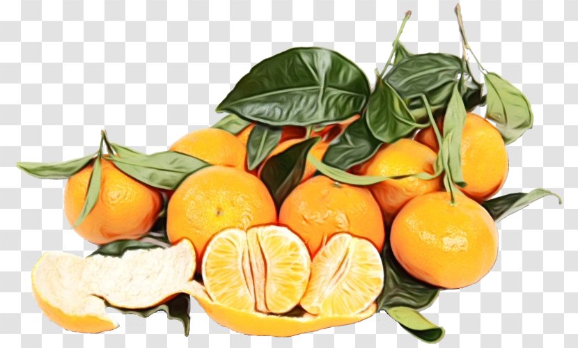 Orange - Natural Foods - Tangelo Vegetarian Food Transparent PNG