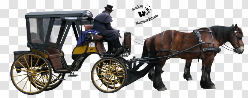 Horse And Buggy Carriage Horse-drawn Vehicle - Pack Animal Transparent PNG