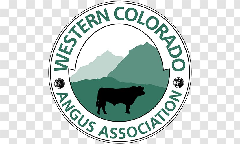 Business Amazon.com Organization Colorado TEMPLEWORK LA - Angus Cattle Transparent PNG