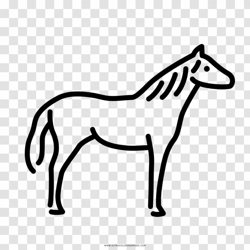 Drawing Gallop Arabian Horse Child - Pony - CABALLOS Transparent PNG