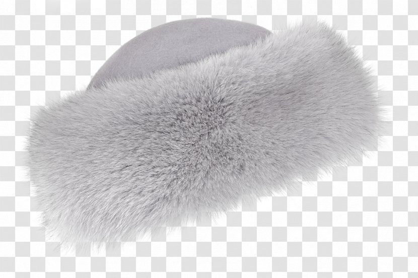 Brush Fur - Material - F40 Transparent PNG