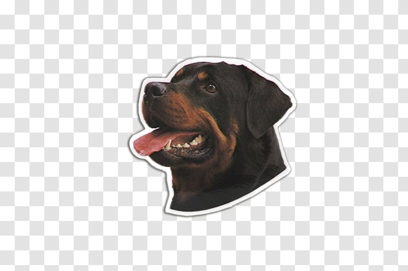 Black And Tan Coonhound Rottweiler Dog Breed Snout Transparent PNG