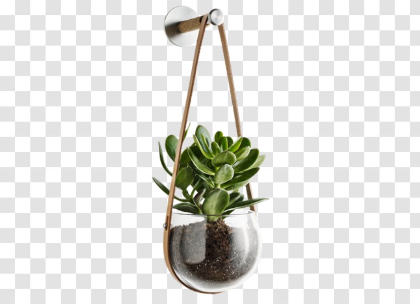 Holmegaard Flowerpot Design Glass Kitchen - Houseplant Transparent PNG