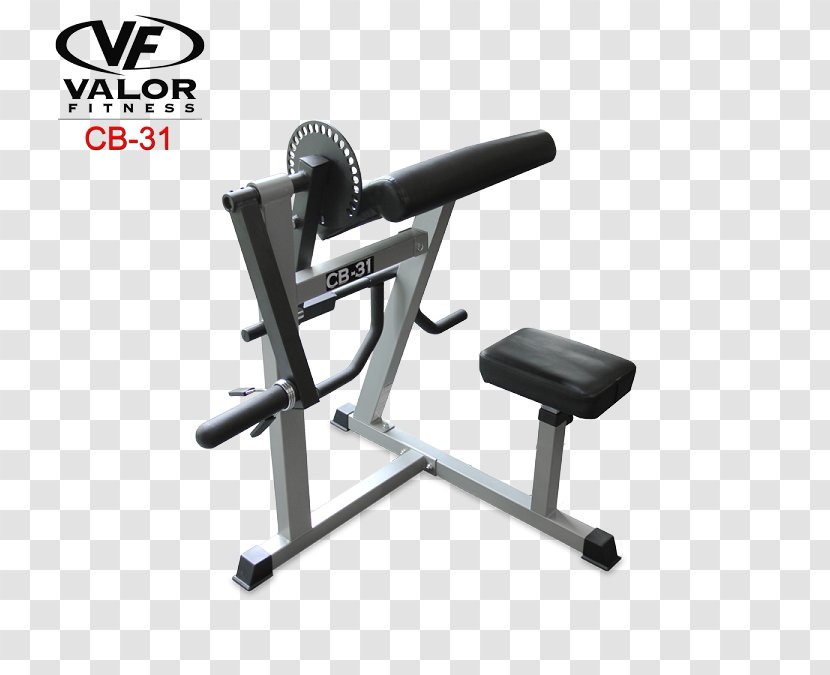 Bench Biceps Curl Triceps Brachii Muscle Arm Elliptical Trainers - Physical Fitness Transparent PNG