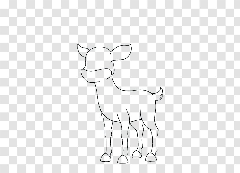 Sheep Cattle Goat Horse Deer - Horn Transparent PNG