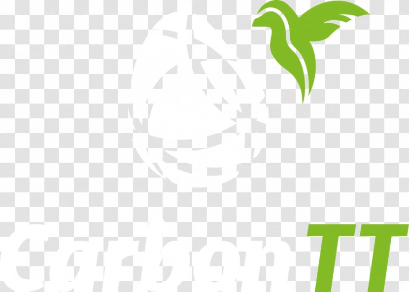 Logo Brand Leaf - Sky - Carbon Nanotube Transparent PNG