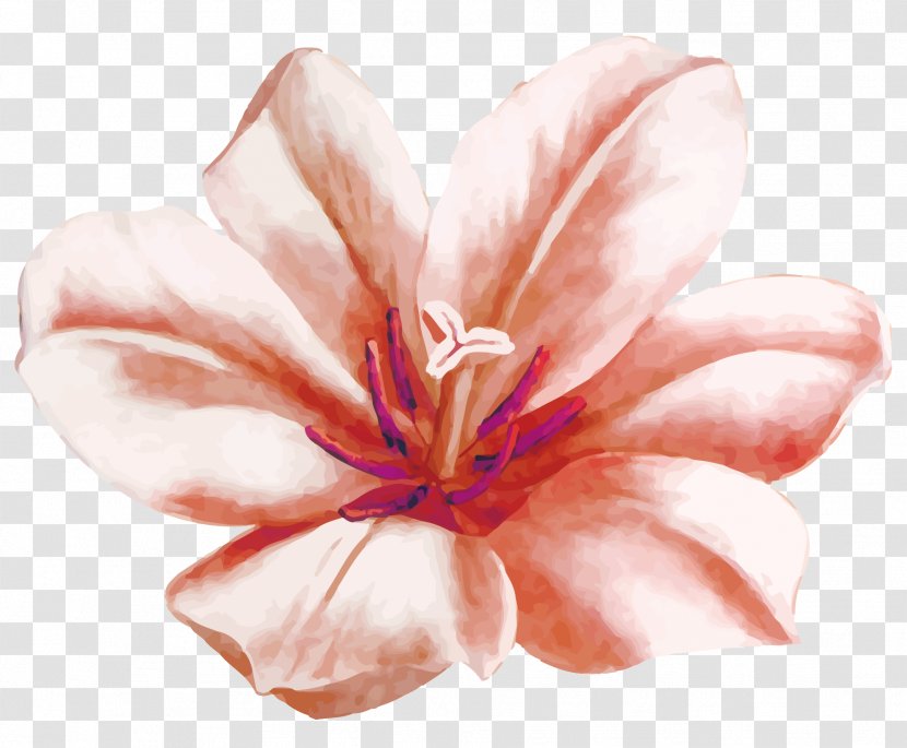 Watercolor Painting Flower Euclidean Vector - Petal - Hand-painted Flowers Transparent PNG