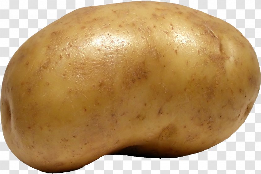 Russet Burbank Potato Yukon Gold Vegetable Food Pap - Fizzy Drinks Transparent PNG