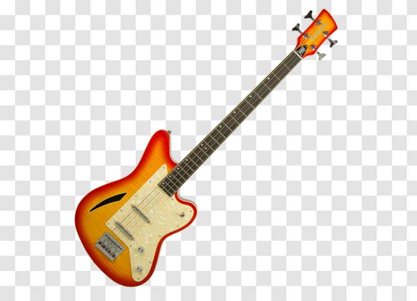 Fender Stratocaster Musical Instruments Bass Guitar Mustang - Watercolor Transparent PNG