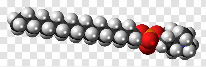 Phospholipid Space-filling Model Molecule Phosphatidylinositol Zwitterion - Protein Kinase B - Ball Transparent PNG