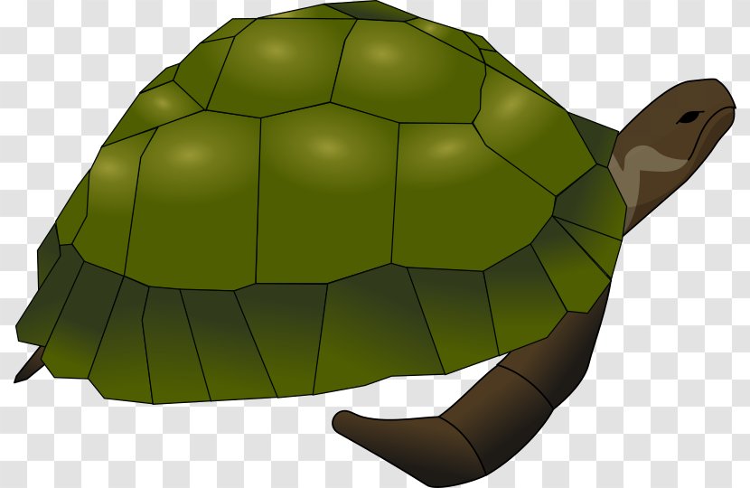 Sea Turtle Common Snapping Clip Art - Organism Transparent PNG