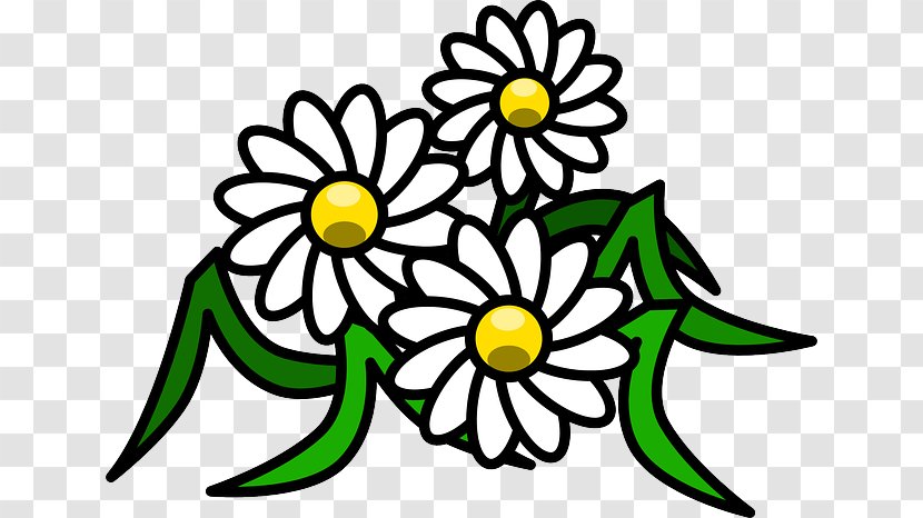 Common Daisy Clip Art - Royaltyfree Transparent PNG