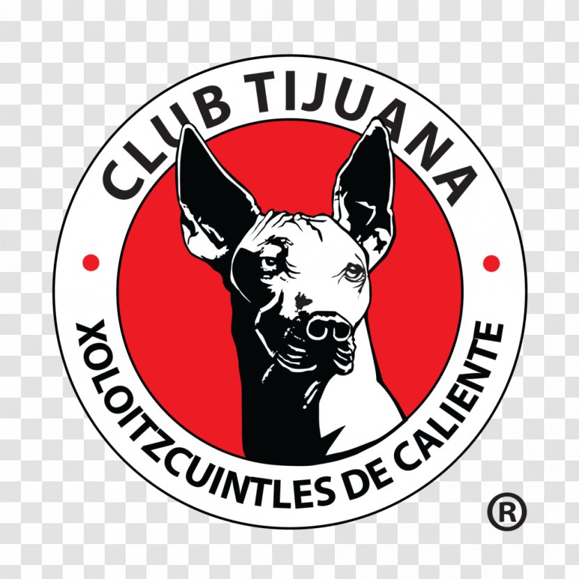 Club Tijuana Liga MX América C.D. Guadalajara - Carnivoran - Football Transparent PNG