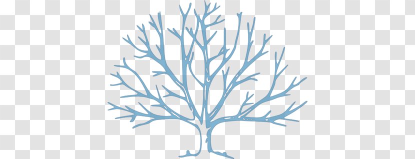 Tree Clip Art - Oak Transparent PNG