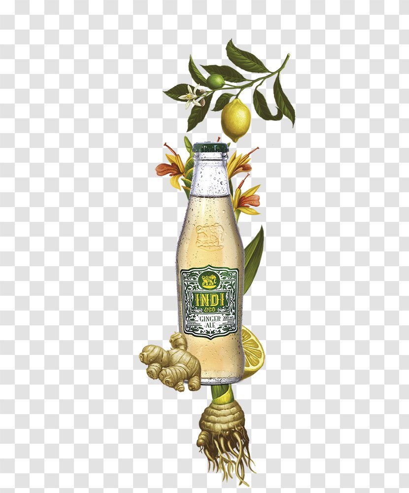 Olive Oil Tonic Water Ginger Ale Vegetable Transparent PNG