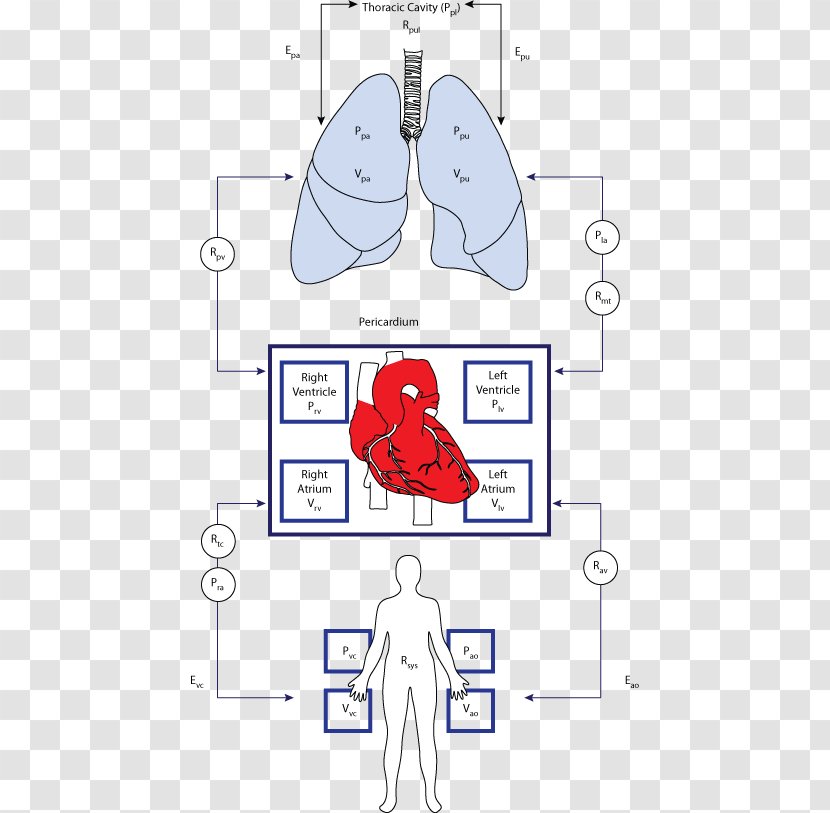 Paper Nose Clip Art - Heart - Schematic Diagram Transparent PNG