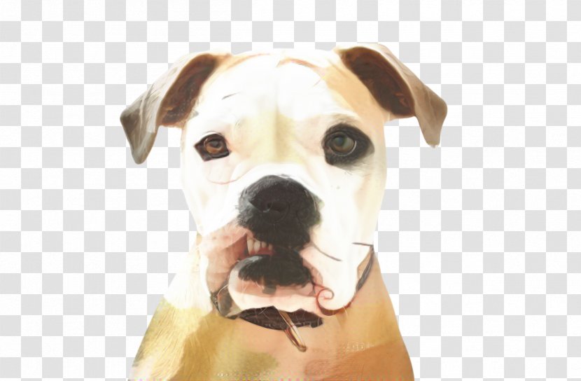 Cute Dog - Ear Smile Transparent PNG