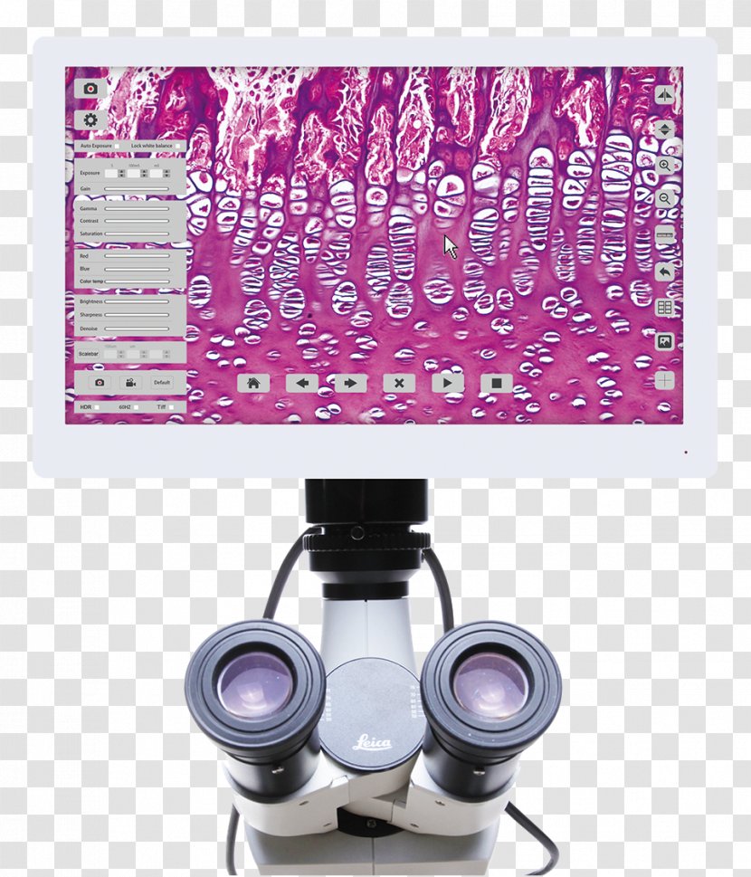 Digital Microscope 1080p Camera CMOS Transparent PNG