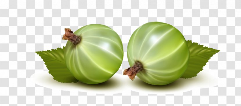 Frutti Di Bosco Gooseberry Clip Art - Fruit - Onion Transparent PNG