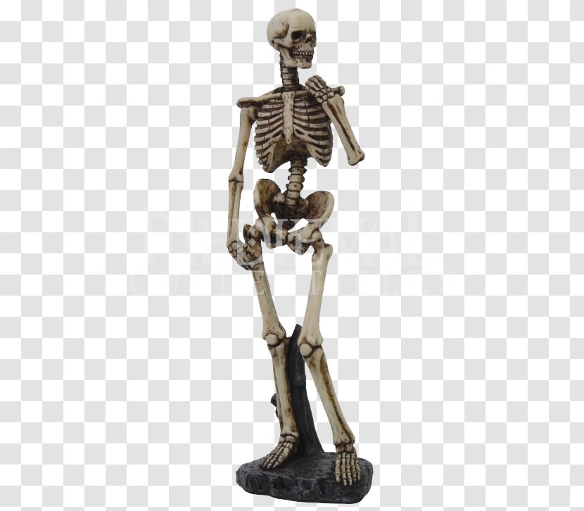 David Human Skeleton Skull Figurine - Evil Pictures Transparent PNG
