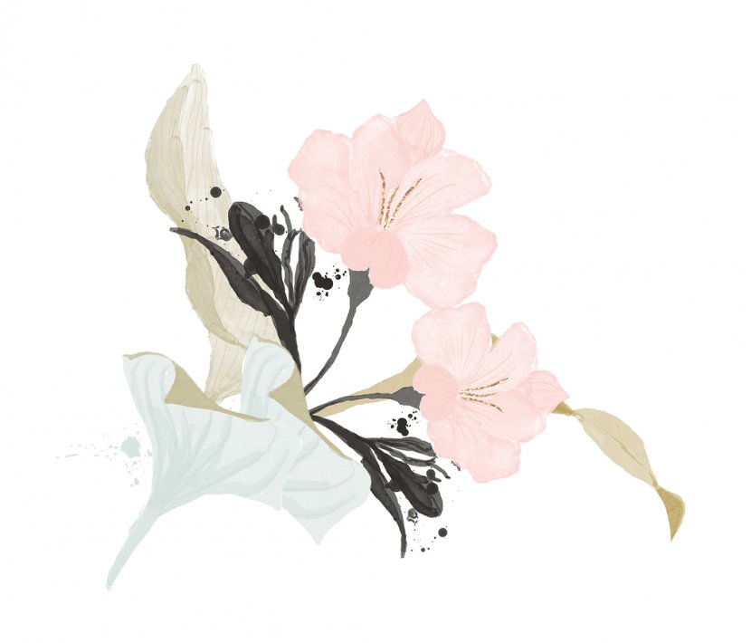 A.M. Marketplaces Private Limited Floral Design Pants Clothing Flower - Cut Flowers - Cherry Blossom Transparent PNG