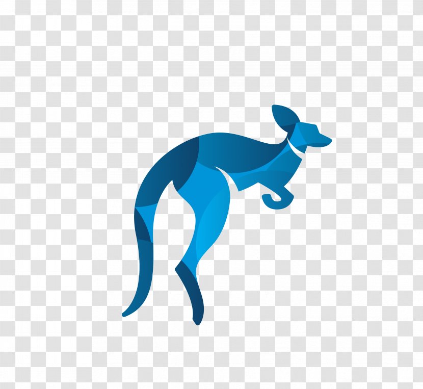 Red Kangaroo - Tail - Blue Puzzle Transparent PNG