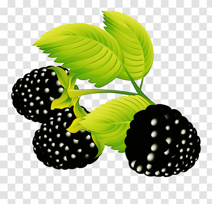 Blackberry Berry Green Leaf Plant Transparent PNG