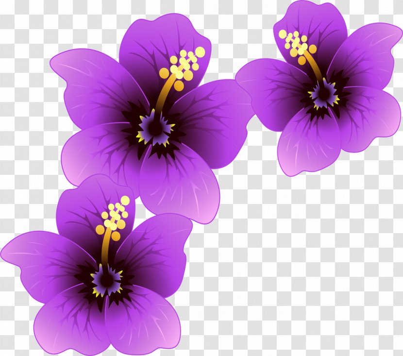 Flower Purple Violet Paper Plant - Pansy - Spring Transparent PNG