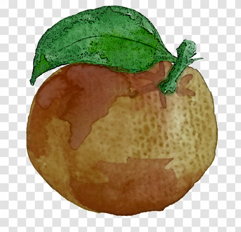 Food Leaf Plant Fruit Apple Transparent PNG