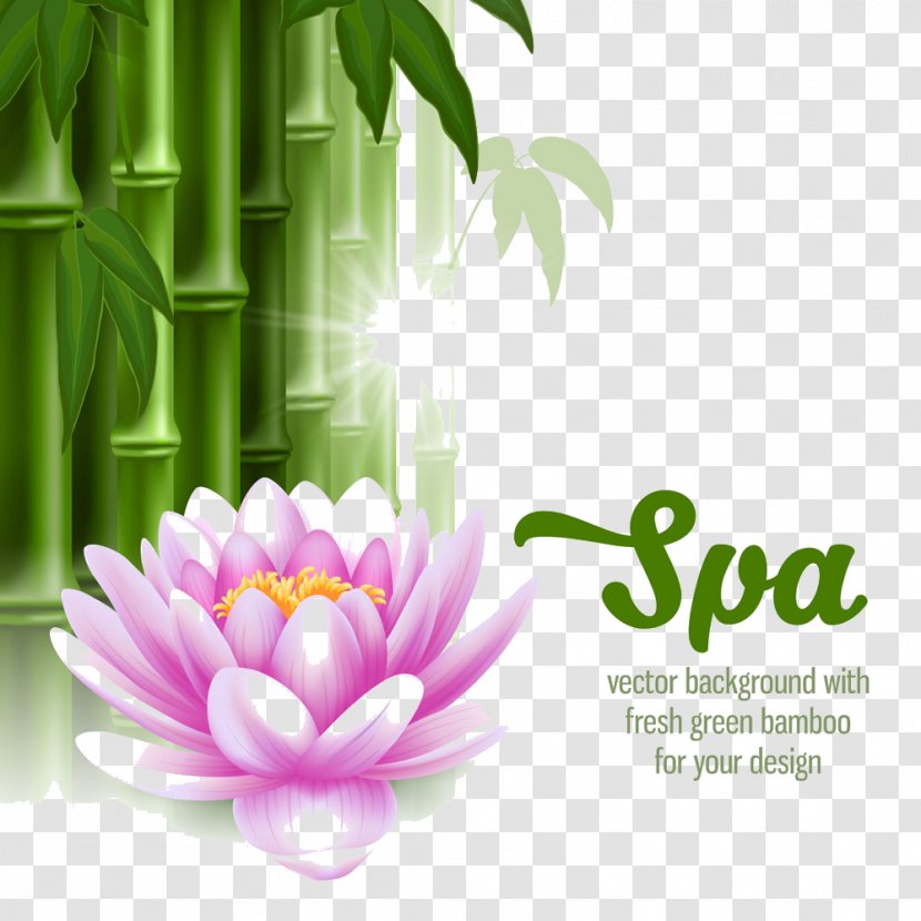 Spa Stone Massage Clip Art - Royaltyfree - HL Bamboo Ago Transparent PNG