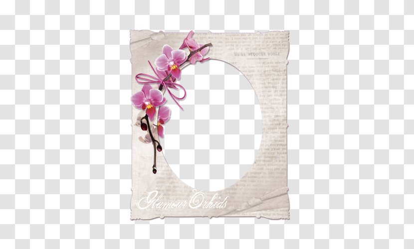 Paper Picture Frames Floral Design Flower Label - Pink Transparent PNG