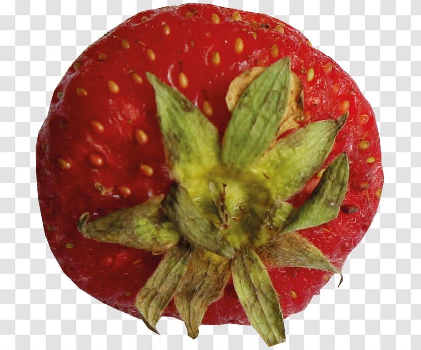 3D Computer Graphics Clip Art - Superfood - 3d Vector Fruit Pictures Transparent PNG