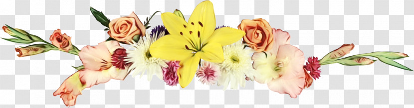 Cut Flowers Yellow Flower Plant Petal Transparent PNG