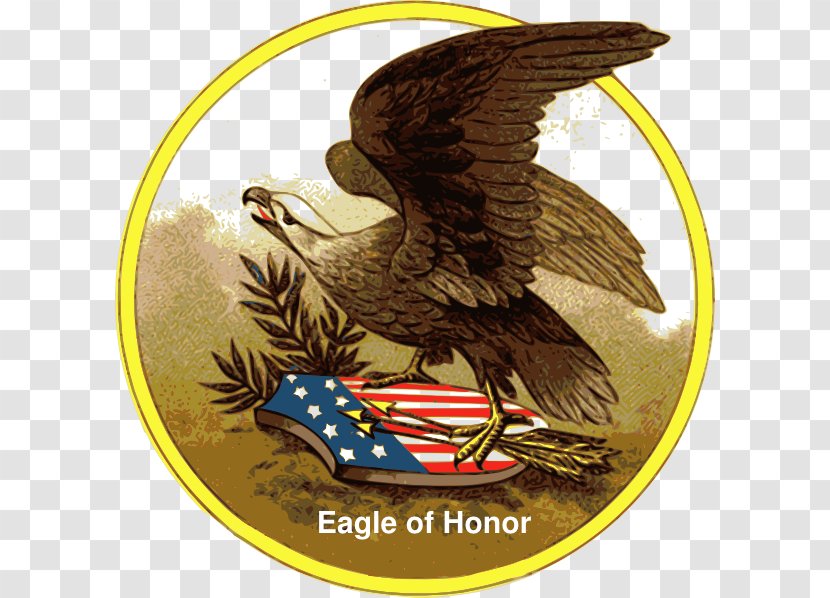 Bald Eagle Clip Art - Beak - Honors Transparent PNG