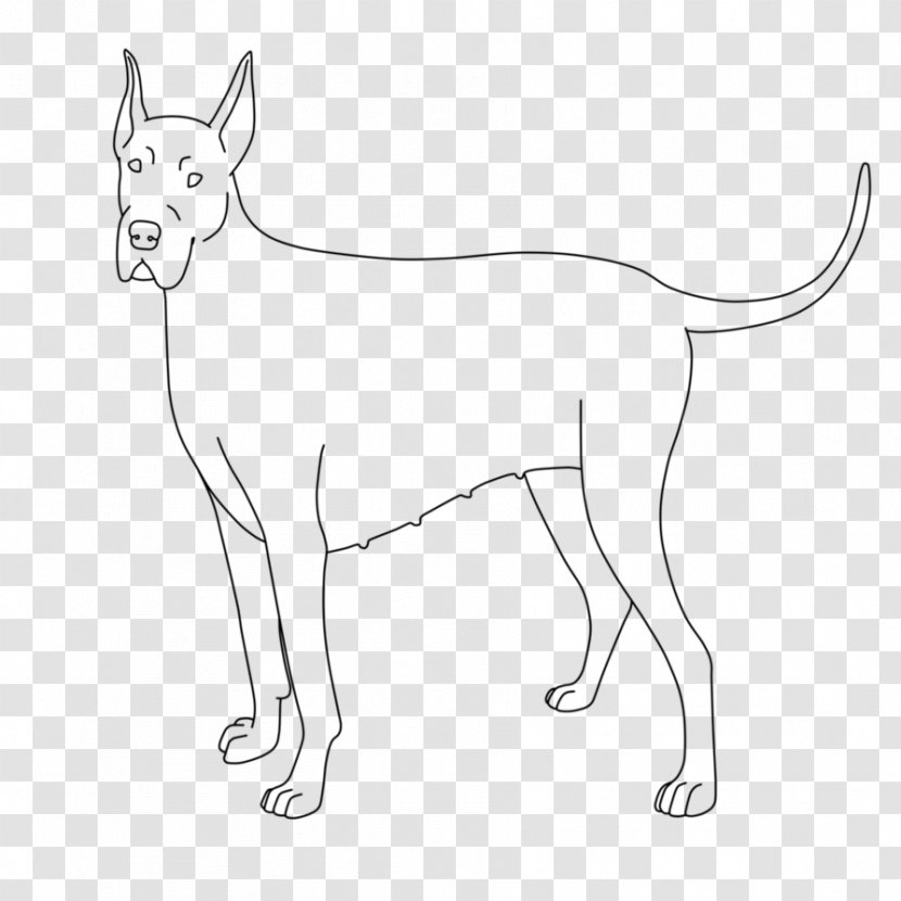 Whiskers Cat Dog Breed Paw - Like Mammal Transparent PNG