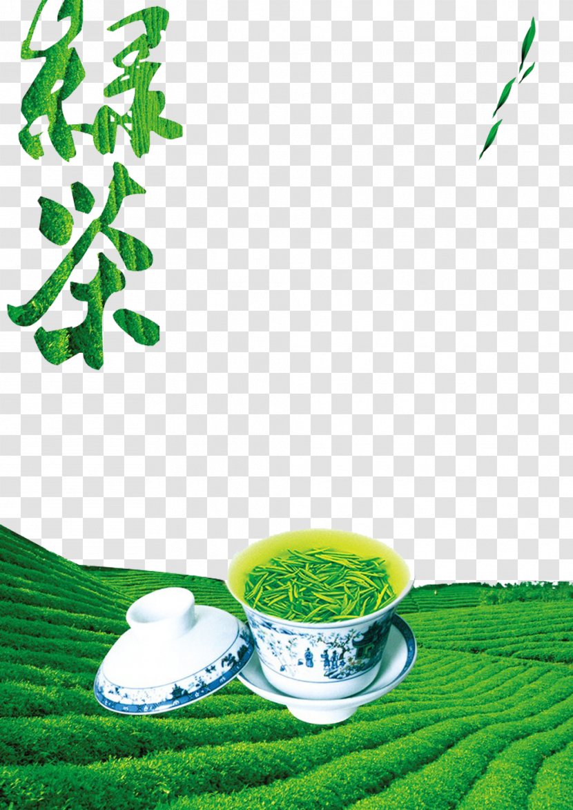 Green Tea Longjing Tieguanyin Cha Pu - Fermented - Image Transparent PNG