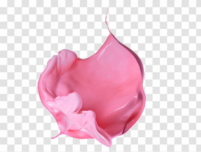 Pink M Petal Close-up Jaw - Peach - Painter Interior Or Exterior Transparent PNG