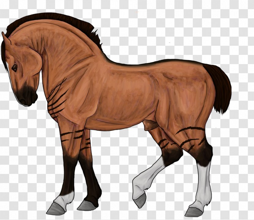 Foal Stallion Mustang Mare Rein - Livestock Transparent PNG