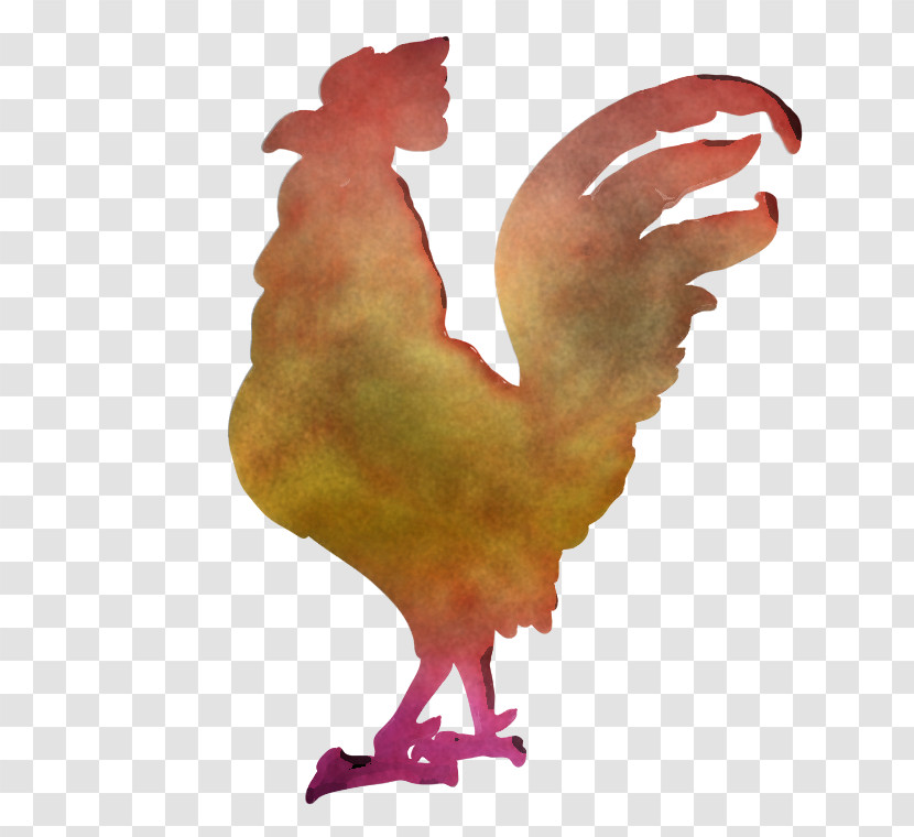 Chicken Rooster Bird Beak Wing Transparent PNG