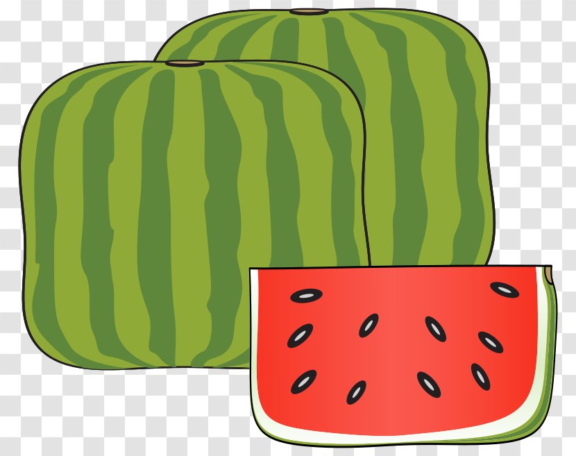 Watermelon Honeydew Cucurbitaceae Cucumber - Plant Transparent PNG