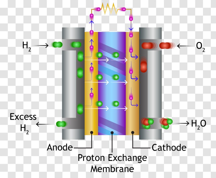 Proton-exchange Membrane Fuel Cell Cells Polymer - Diagram - Automotive Battery Transparent PNG