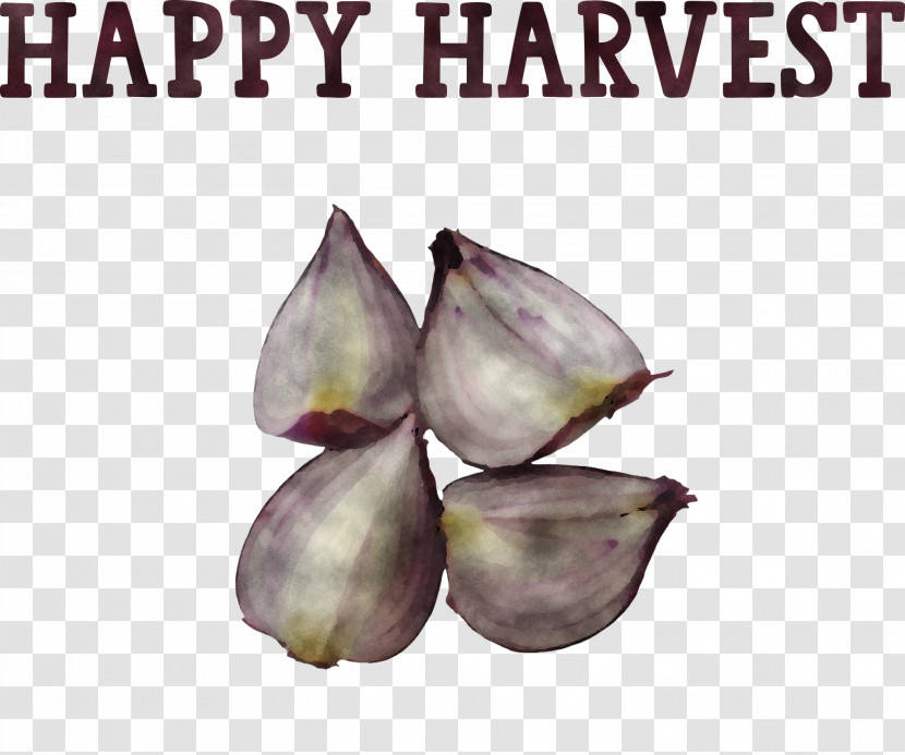 Happy Harvest Harvest Time Transparent PNG